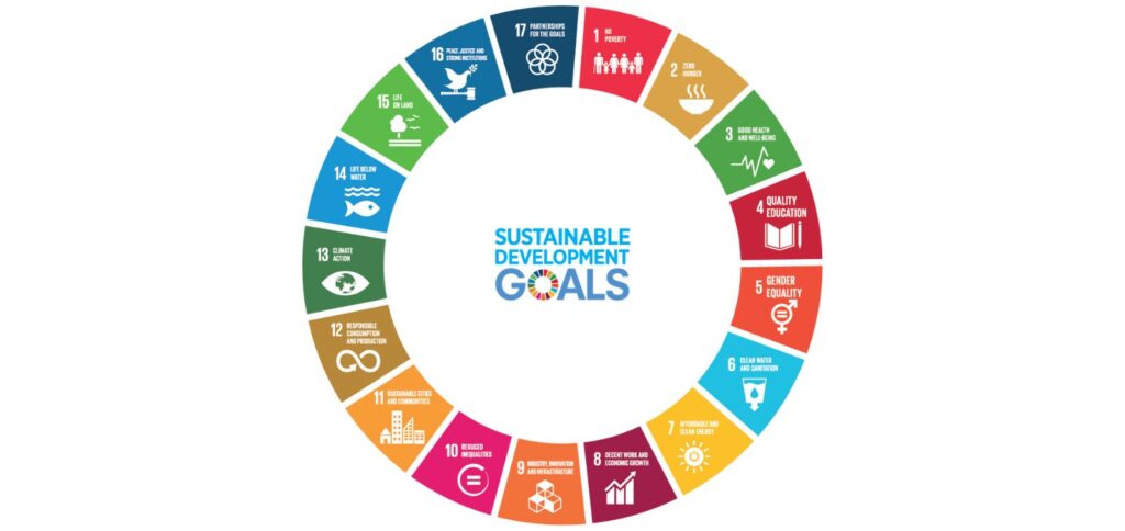 The Sustainable Development Goals wheel: seventeen coloured segments around the title, from 1 No poverty to 17 Partnerships for the goals