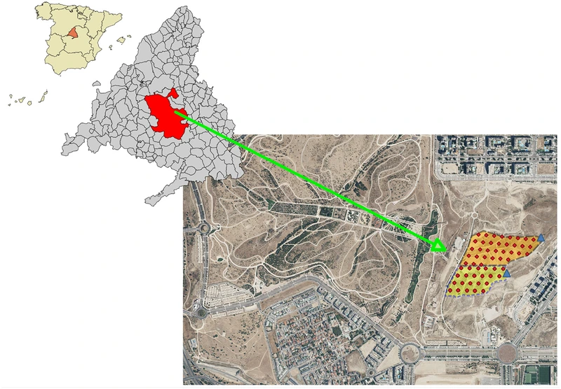 Map of Spain and the Community of Madrid locating the field site, with an aerial view of the two catchments: a grid of red dots for the soil moisture sensors and a blue triangle for the water level gauge