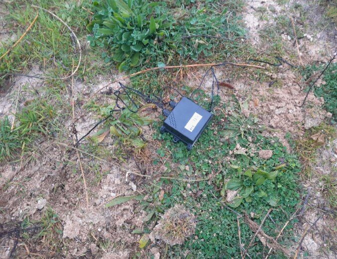 A small black enclosure lying on sandy soil among weeds, with its cables running to the buried probes