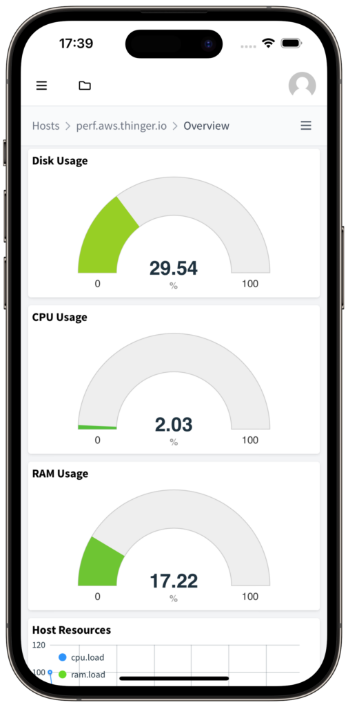 The overview of a host of a private instance: gauges for disk usage at 29.54 %, CPU usage at 2.03 % and RAM usage at 17.22 %, and a host resources chart.